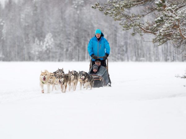 VK-huskysafari
