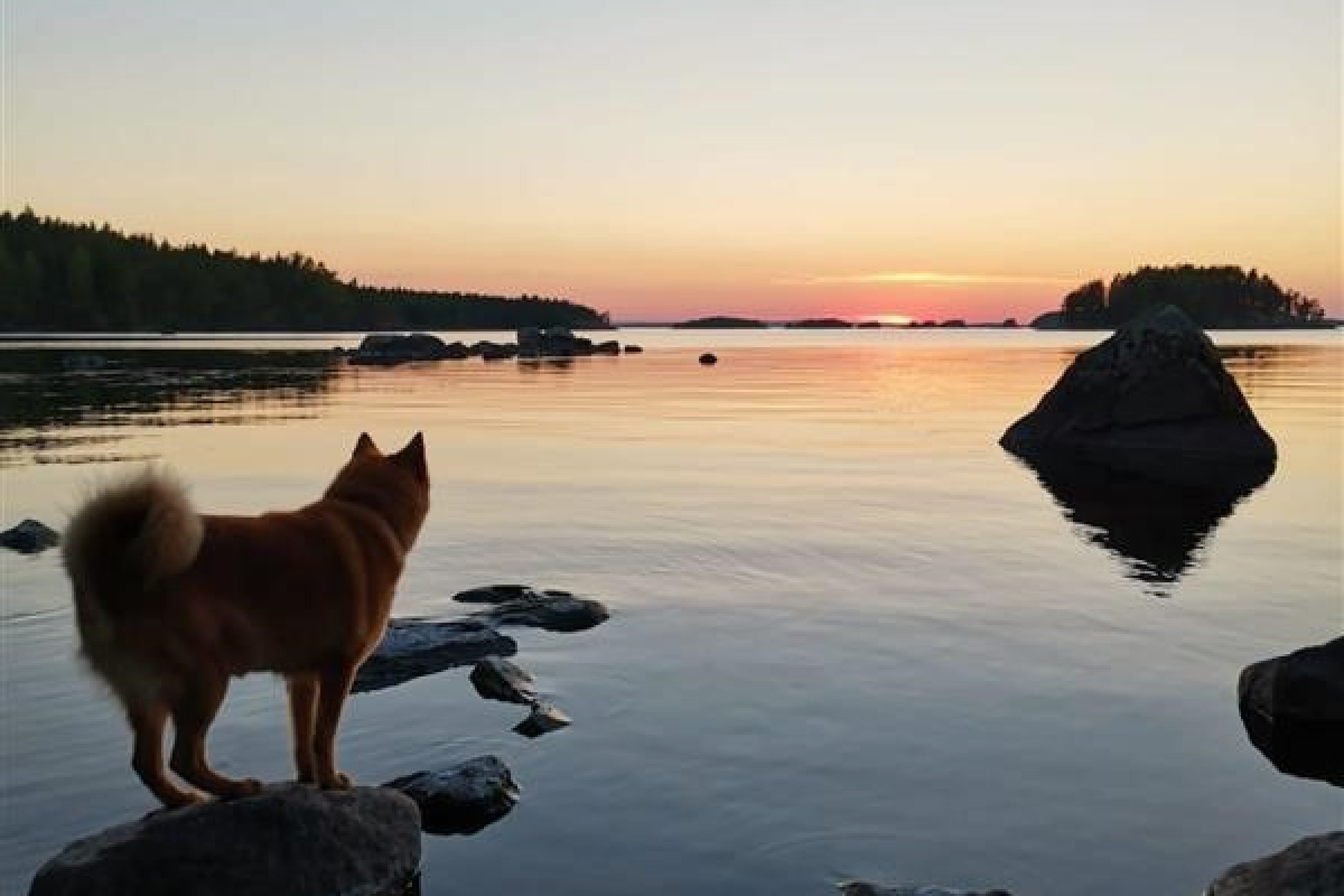 Dog-Lake