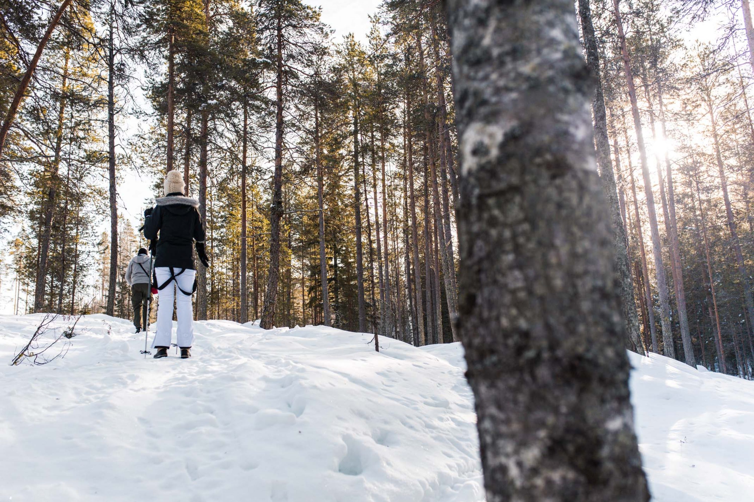 VK-hiihtoretki-metsässä