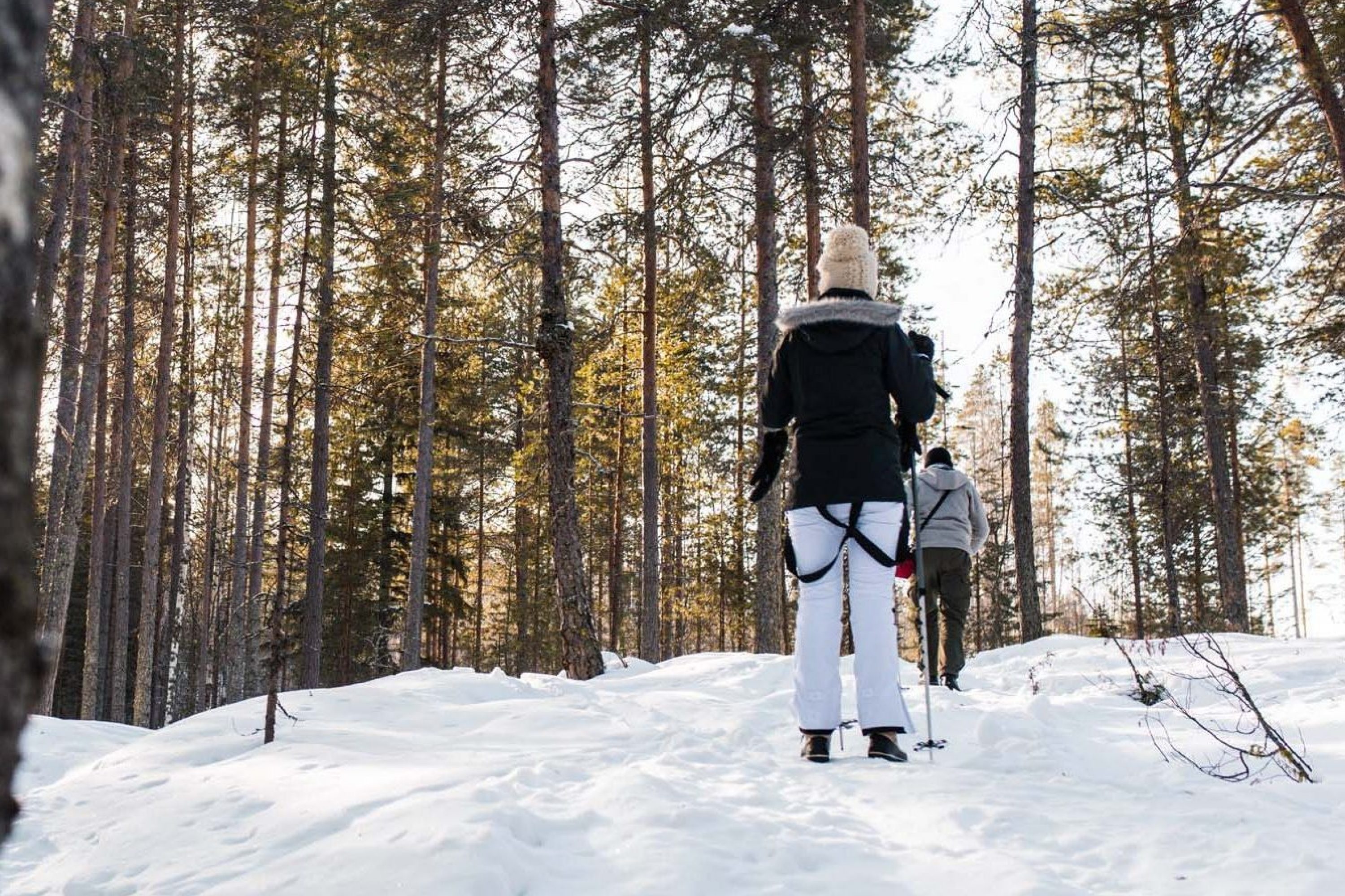 VK-hiihtoretki-metsässä