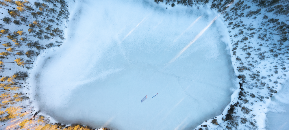 Frozen lake and snowy forest