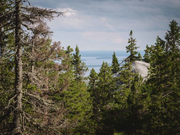 vk-koli-national-park-view