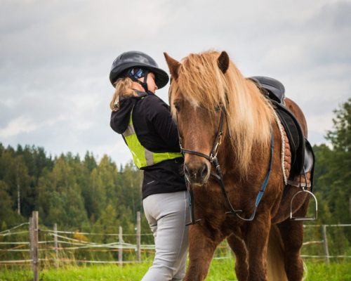 https://www.visitkarelia.fi/files/vk33-terhi-ilosaari-kuivalantila.jpg