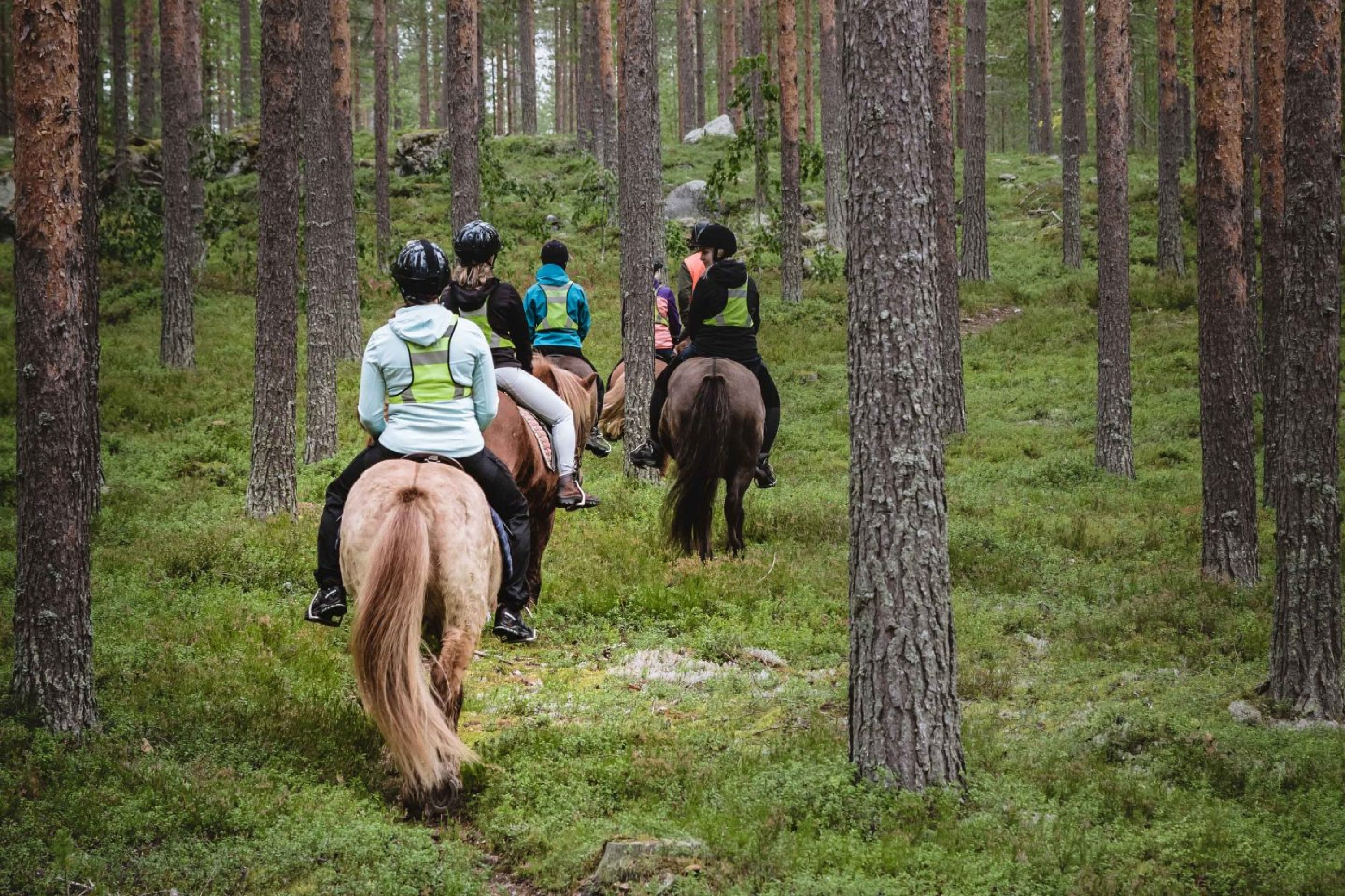 Ratsastajat metsäpolulla hevosien kanssa