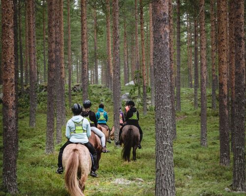 https://www.visitkarelia.fi/files/vk56-terhi-ilosaari-kuivalantila.jpg
