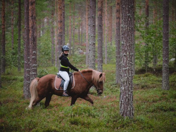 Nainen ratsastaa hevosella mäntymetsässä