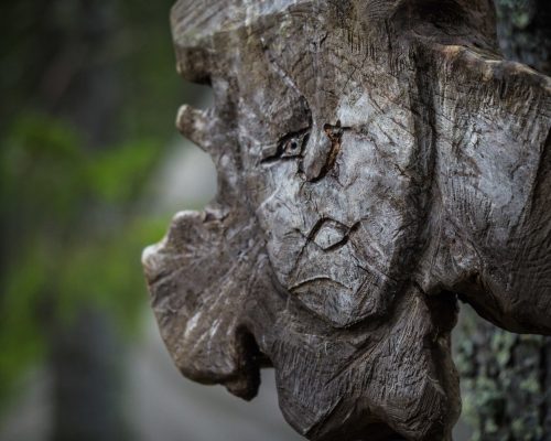 https://www.visitkarelia.fi/files/vk_kotakyla-terhi-ilosaari-10_juuka_2021-scaled.jpg