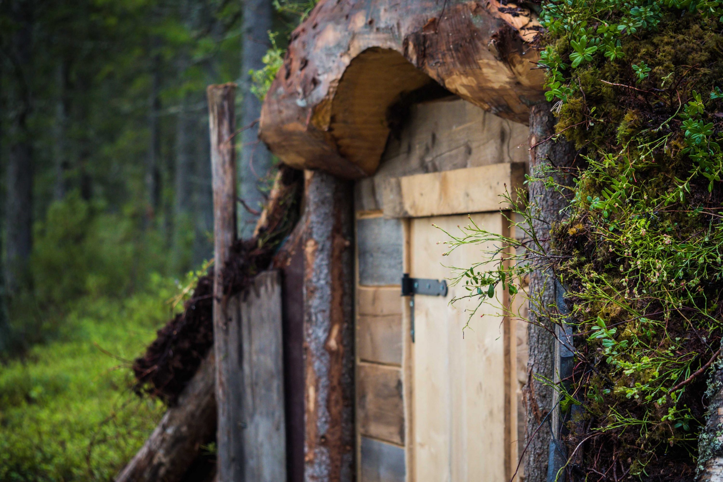 A hidden sauna in the forest