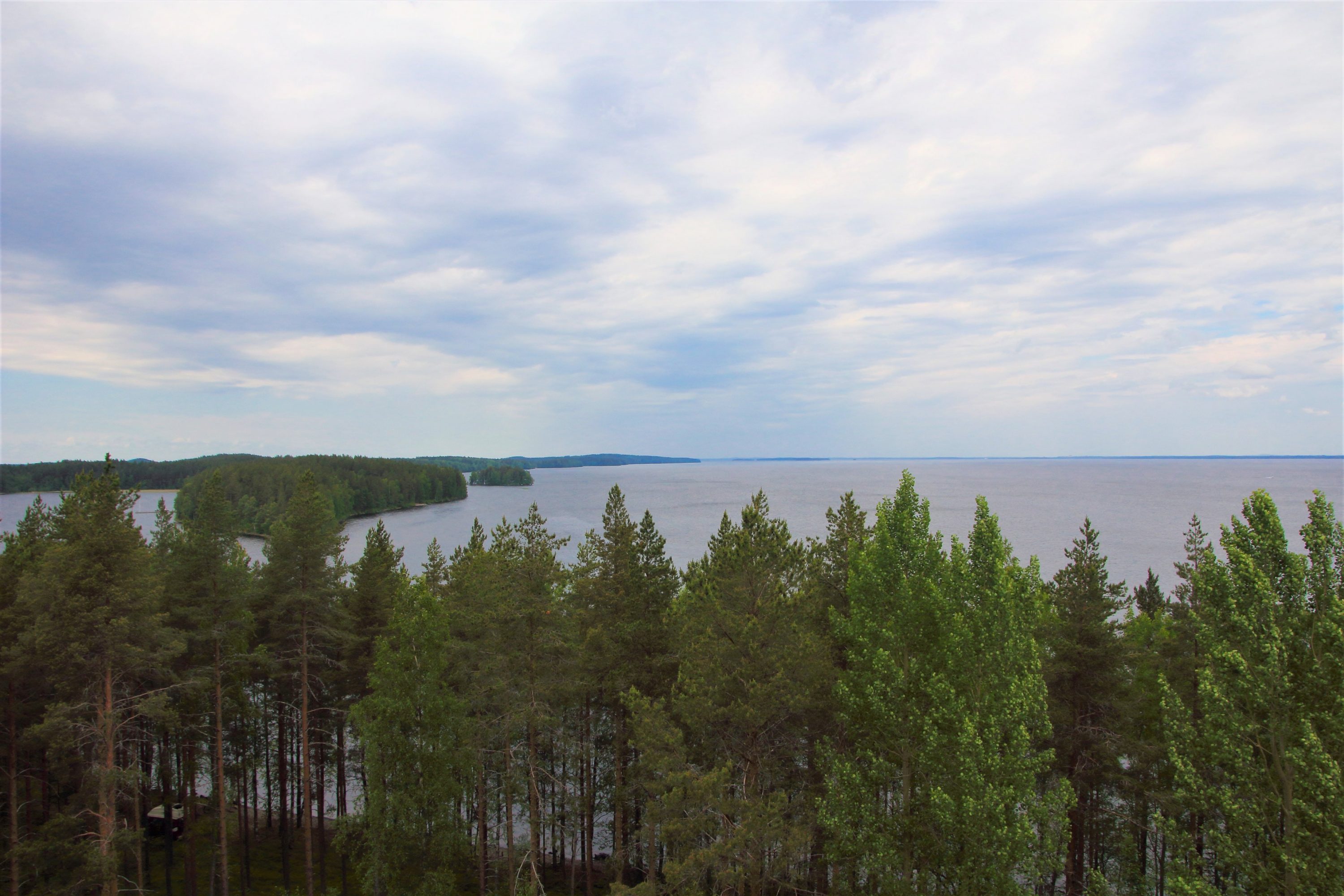 Näkymät lintutornista järvelle