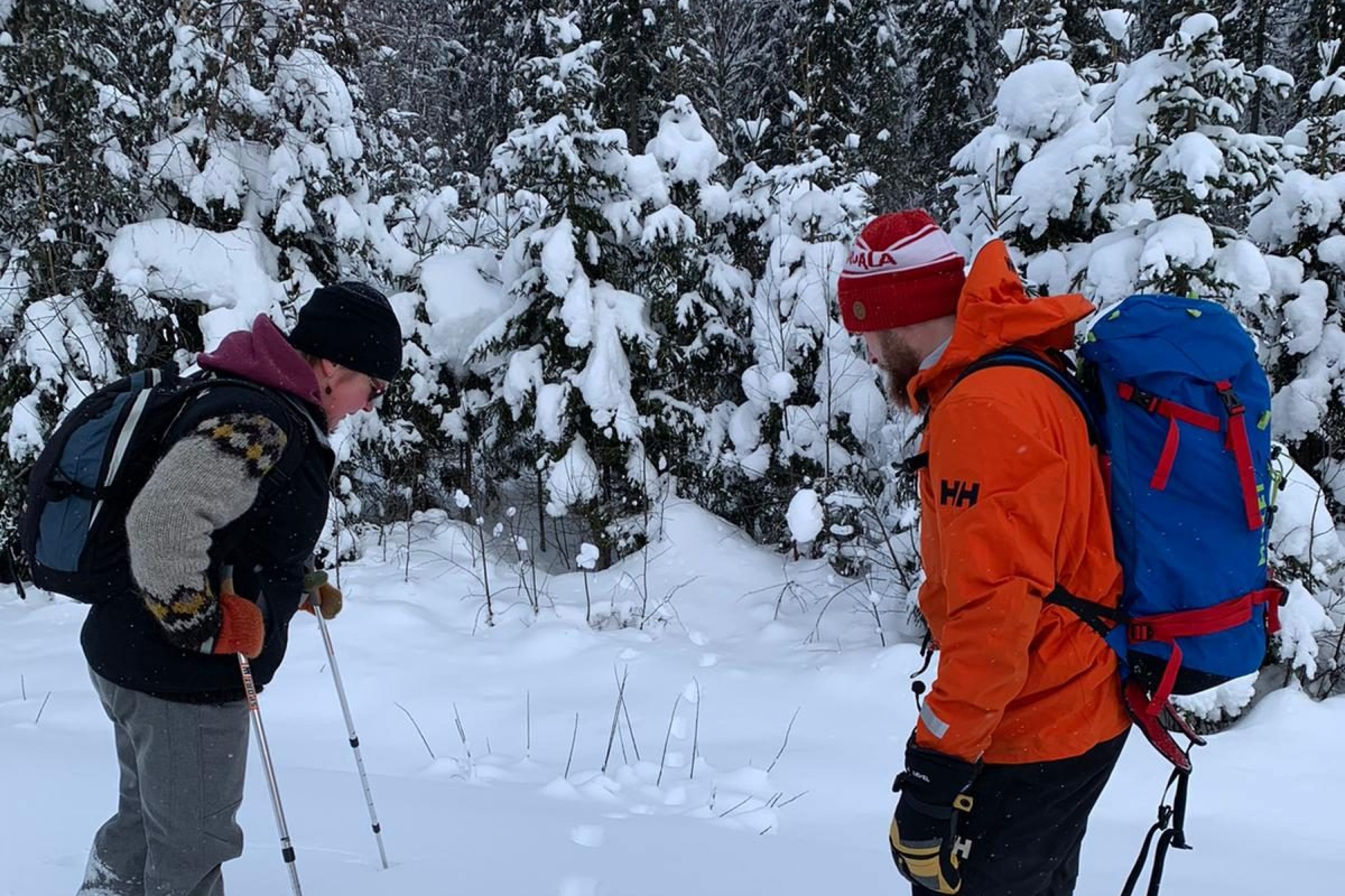 Mies ja nainen ihmettelevät jälkiä lumessa