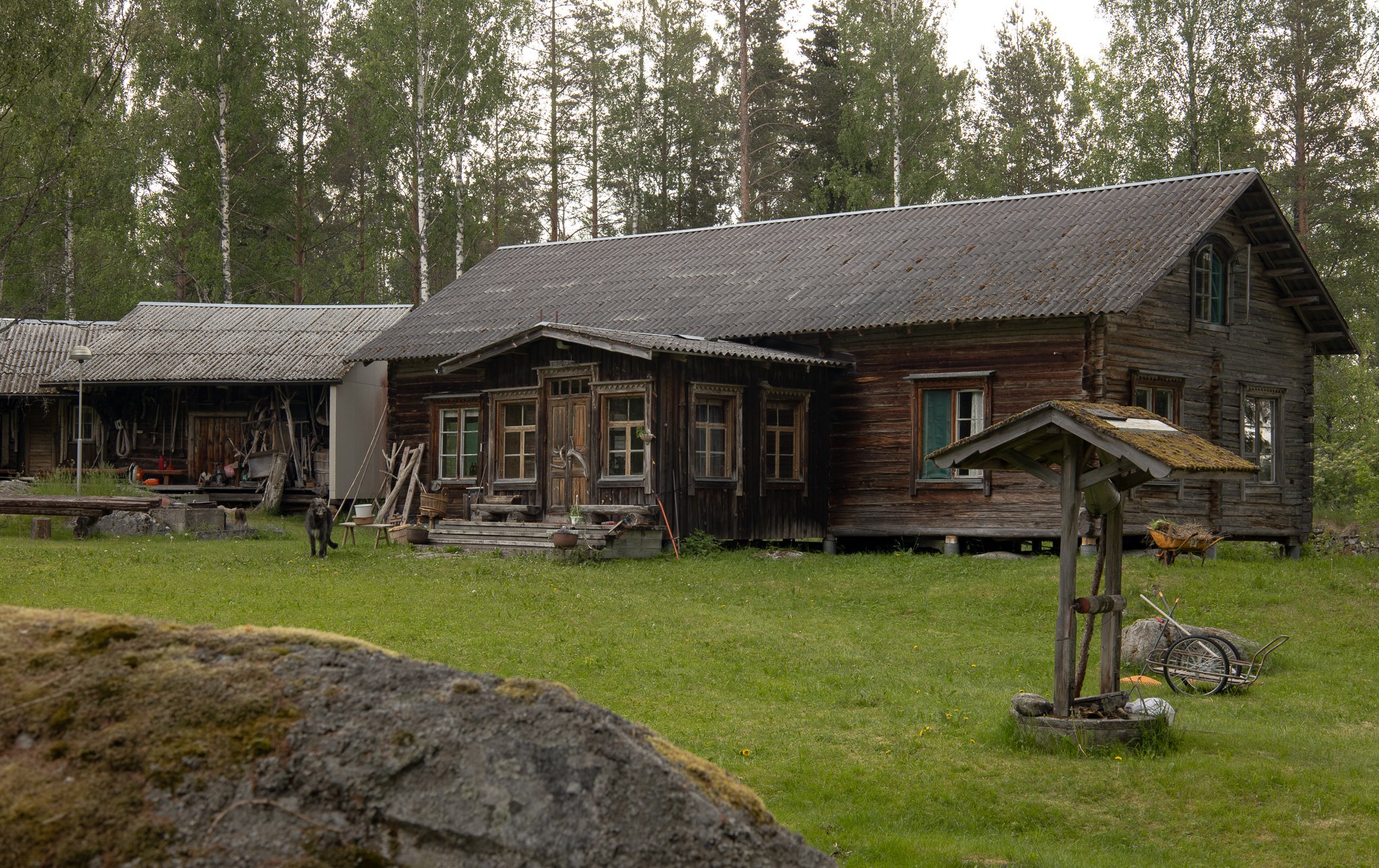 0M0A8467-tarina-aho-koli