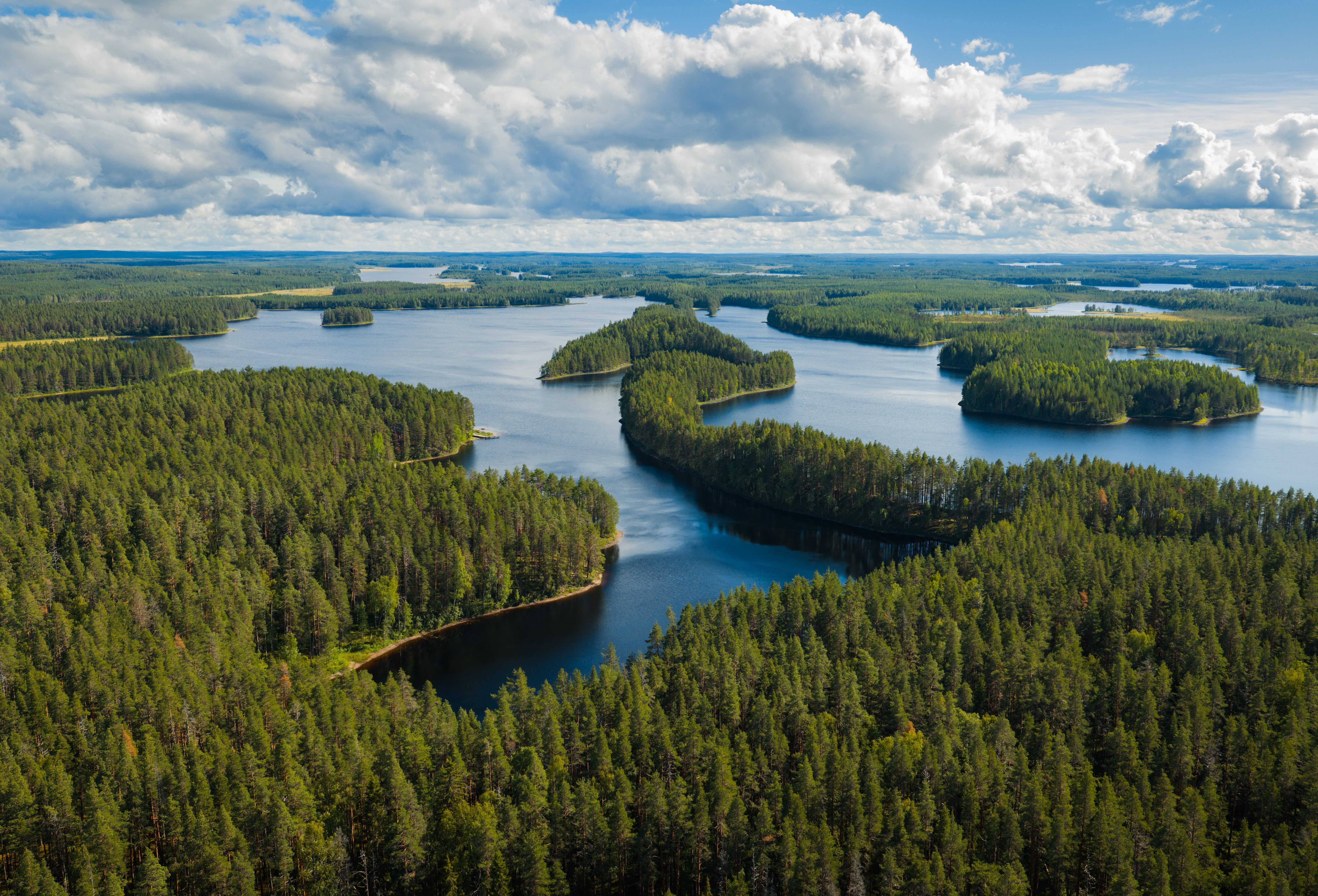 2025_Pro Lakeland_North Karelia_summer_Petkeljärvi_hires--11