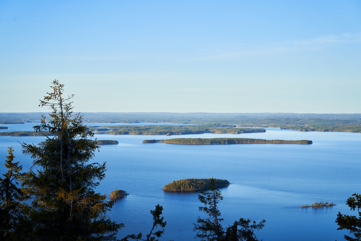Day 9 - Koli huippu 6