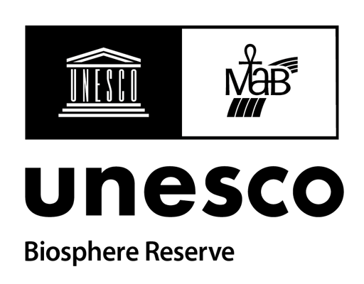 Unesco logo