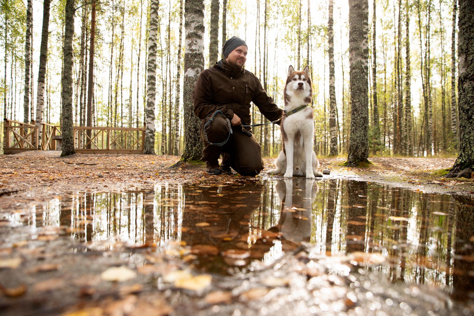 VK-Harri-Tarvainen-hiker-dog.jpg