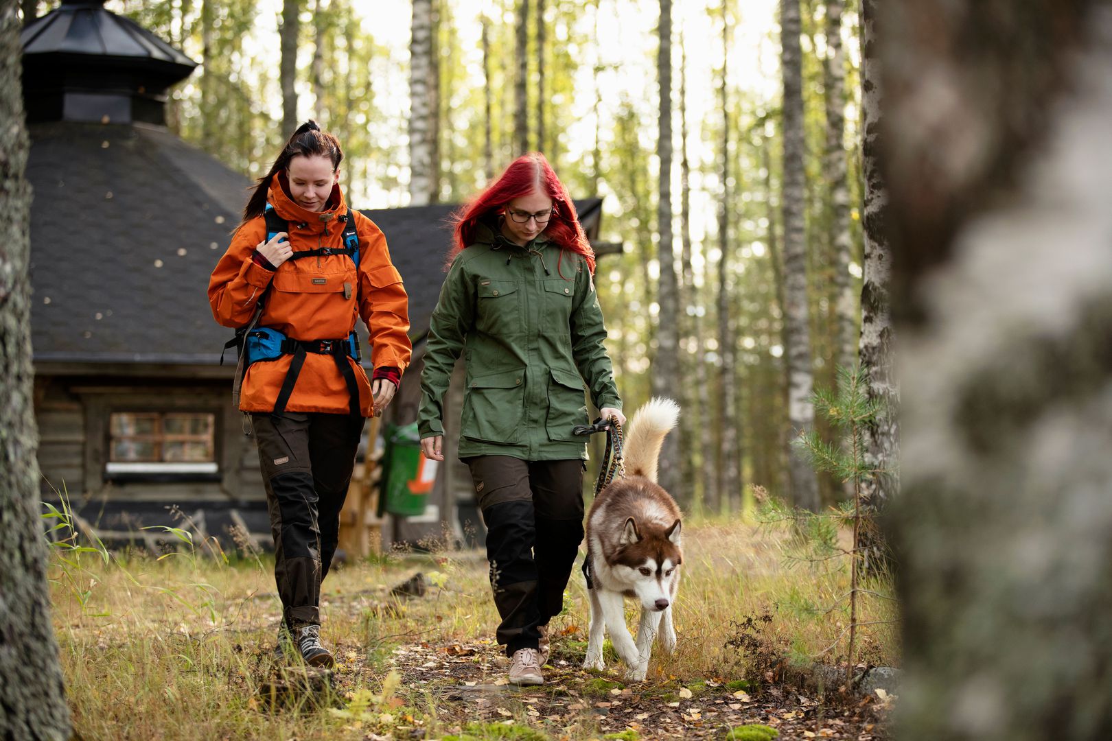 VK-Harri-Tarvainen-hikers-dog2.jpg