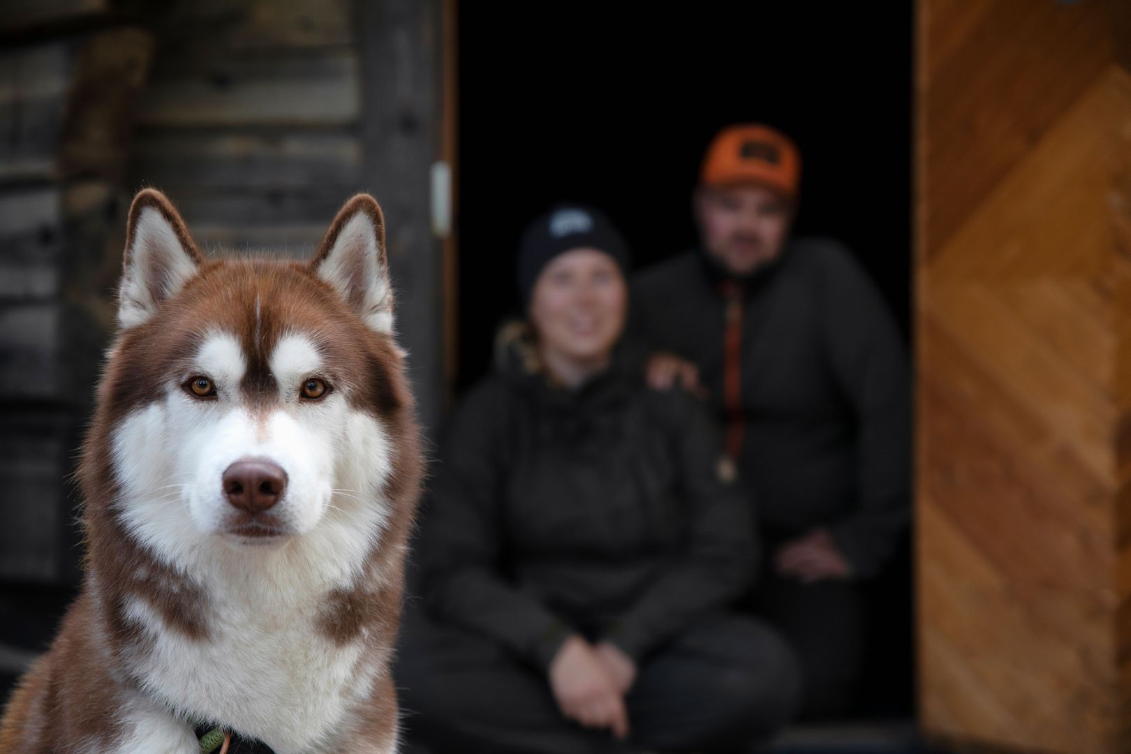 VK-Harri-Tarvainen-hiking-dog.jpg