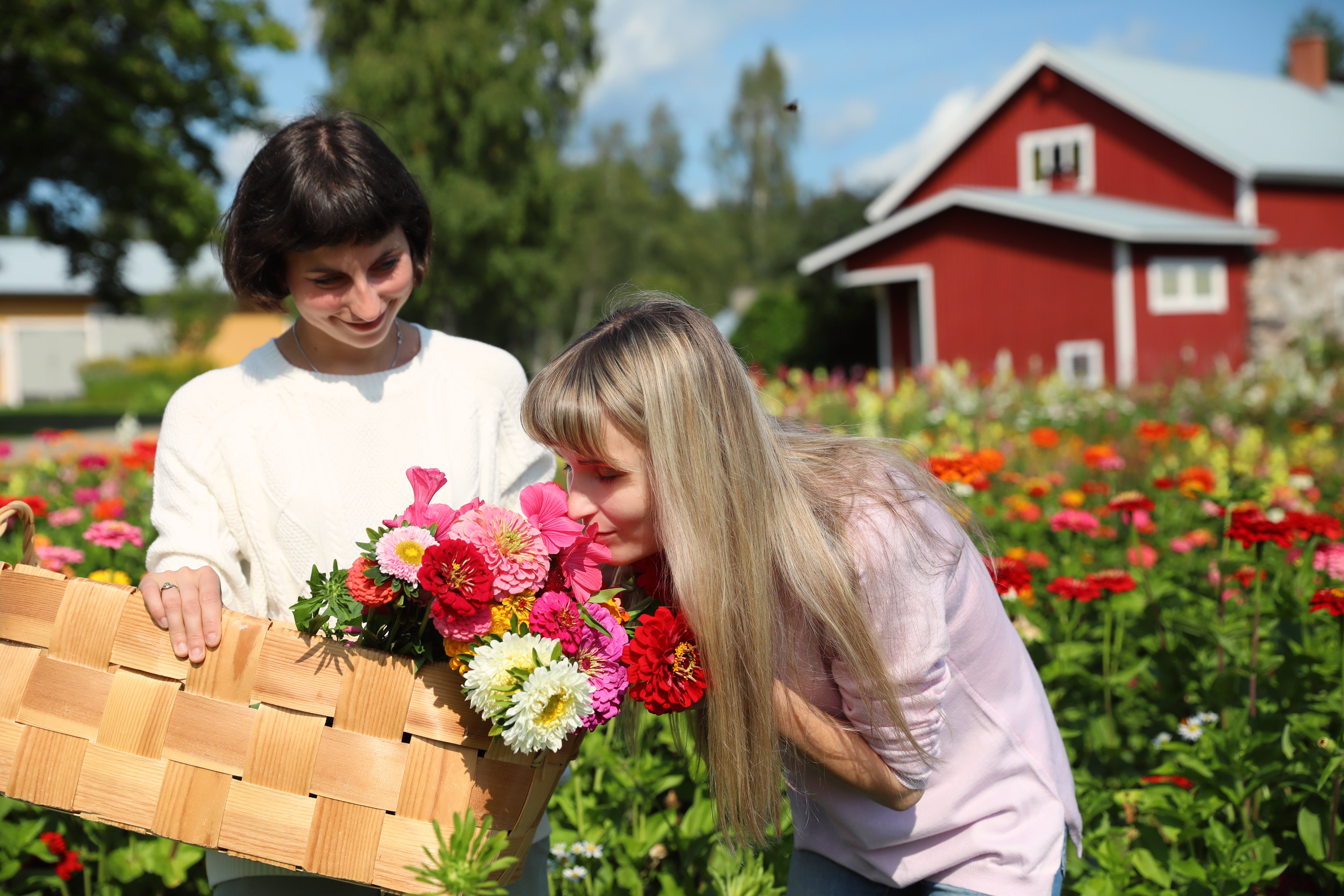 VK-Harri-Tarvainen-smellingflowers.jpg