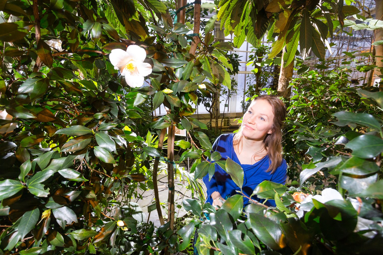 VK-Jarno-Artika-Botania5.jpg