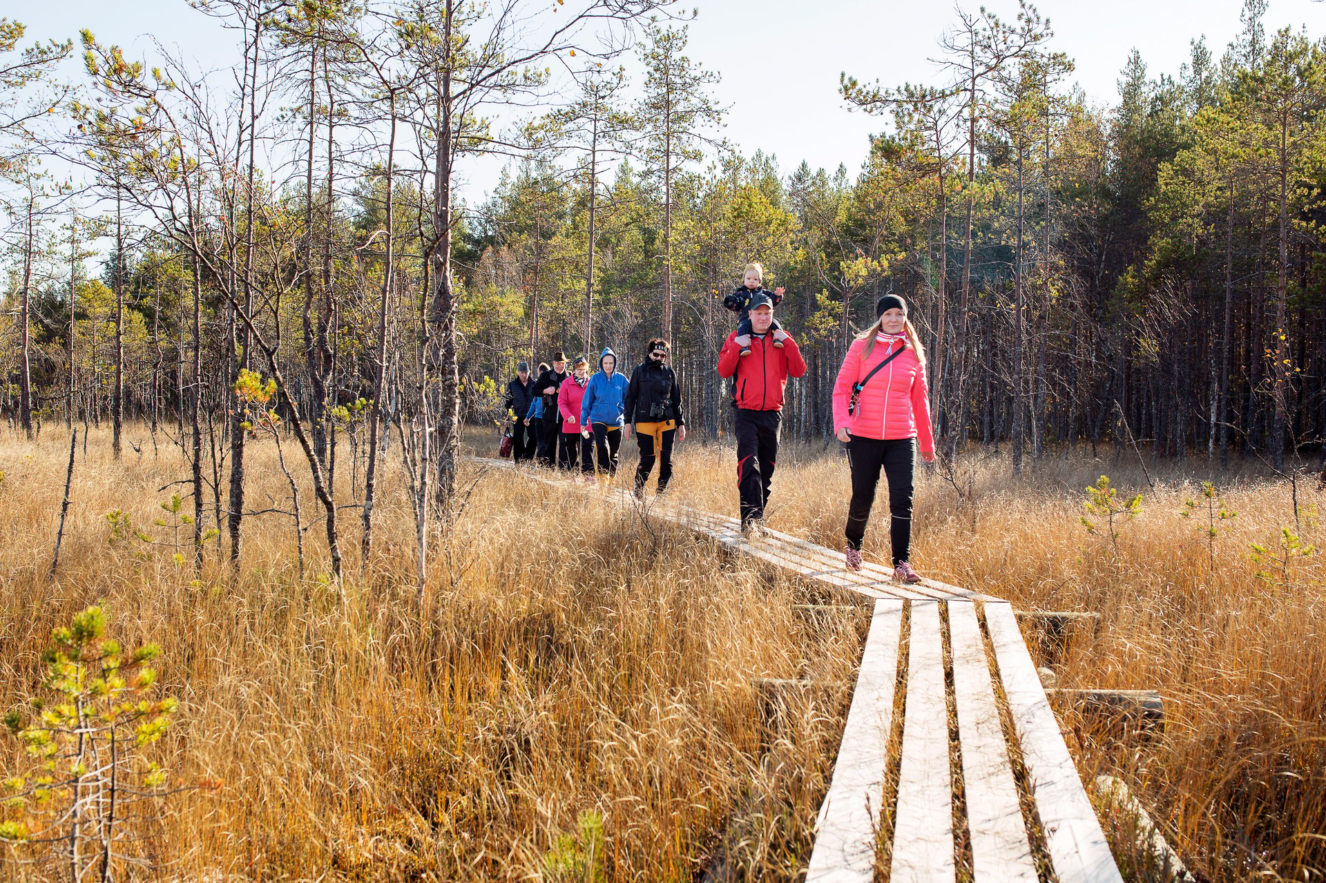 Viklinsuon pitkospuureitti_kuvaaja_Jyri_Keronen