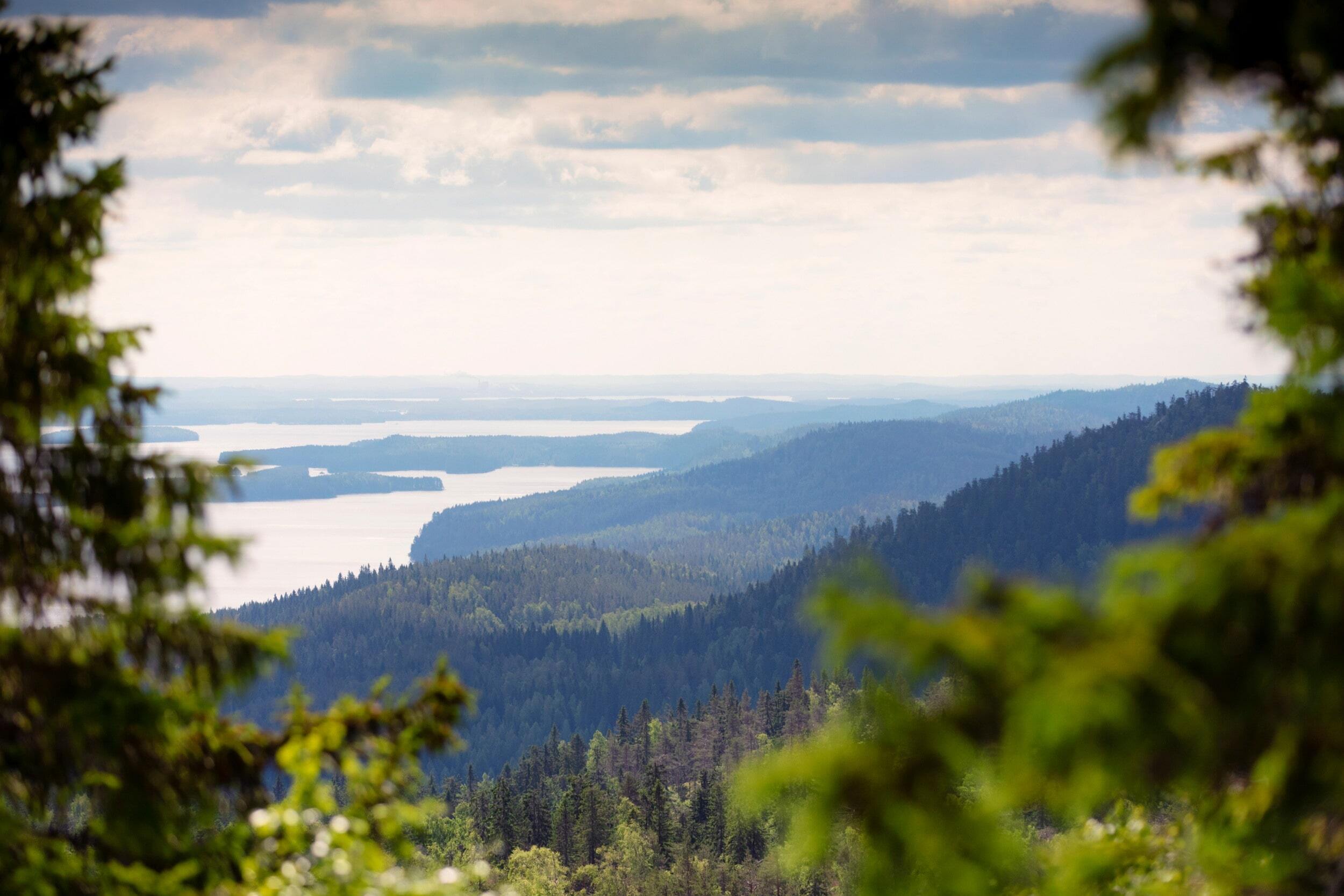 VK-Harri-Tarvainen-Koli-by-summer