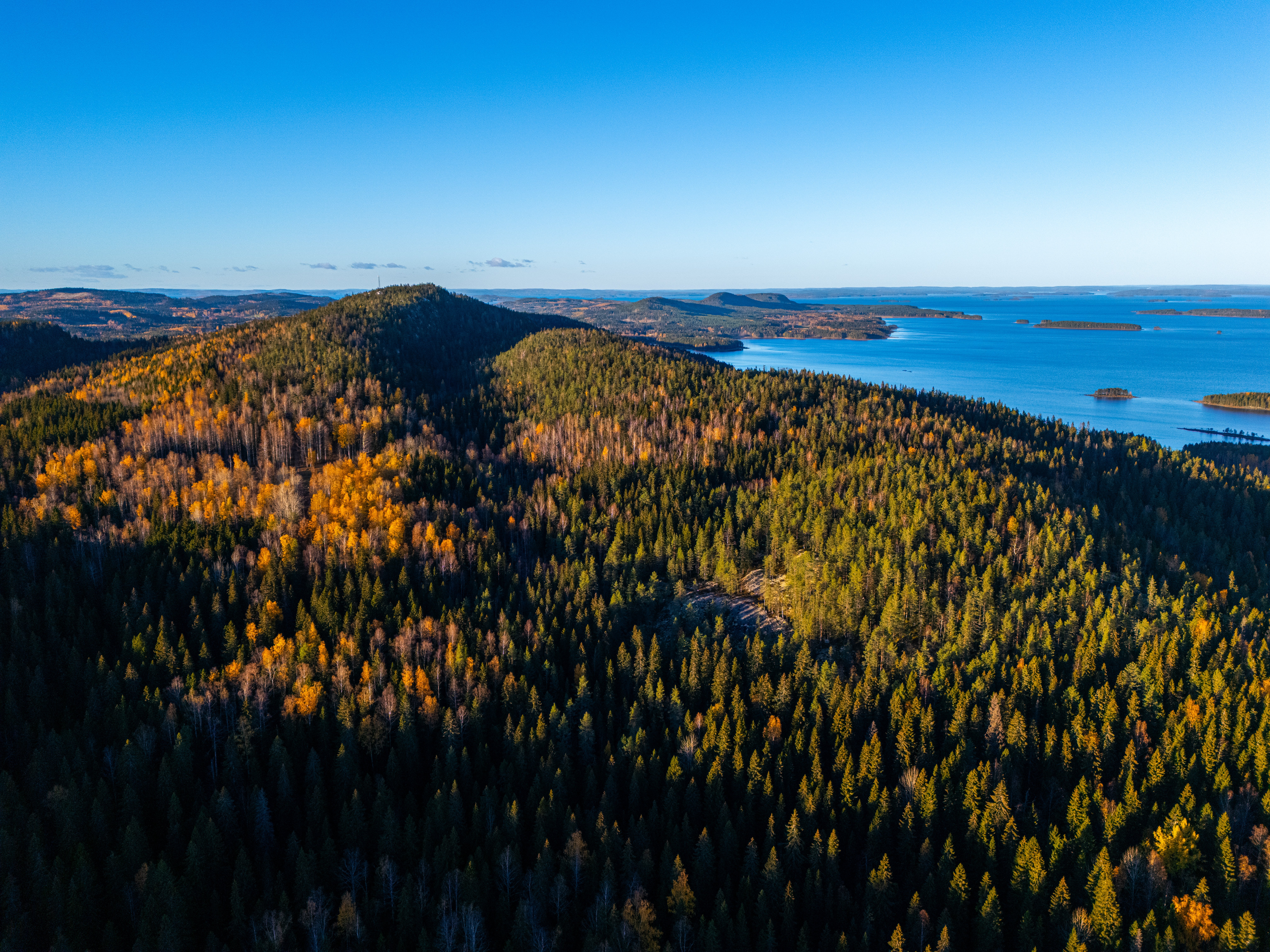 Koli-Ruska-fullres_0079
