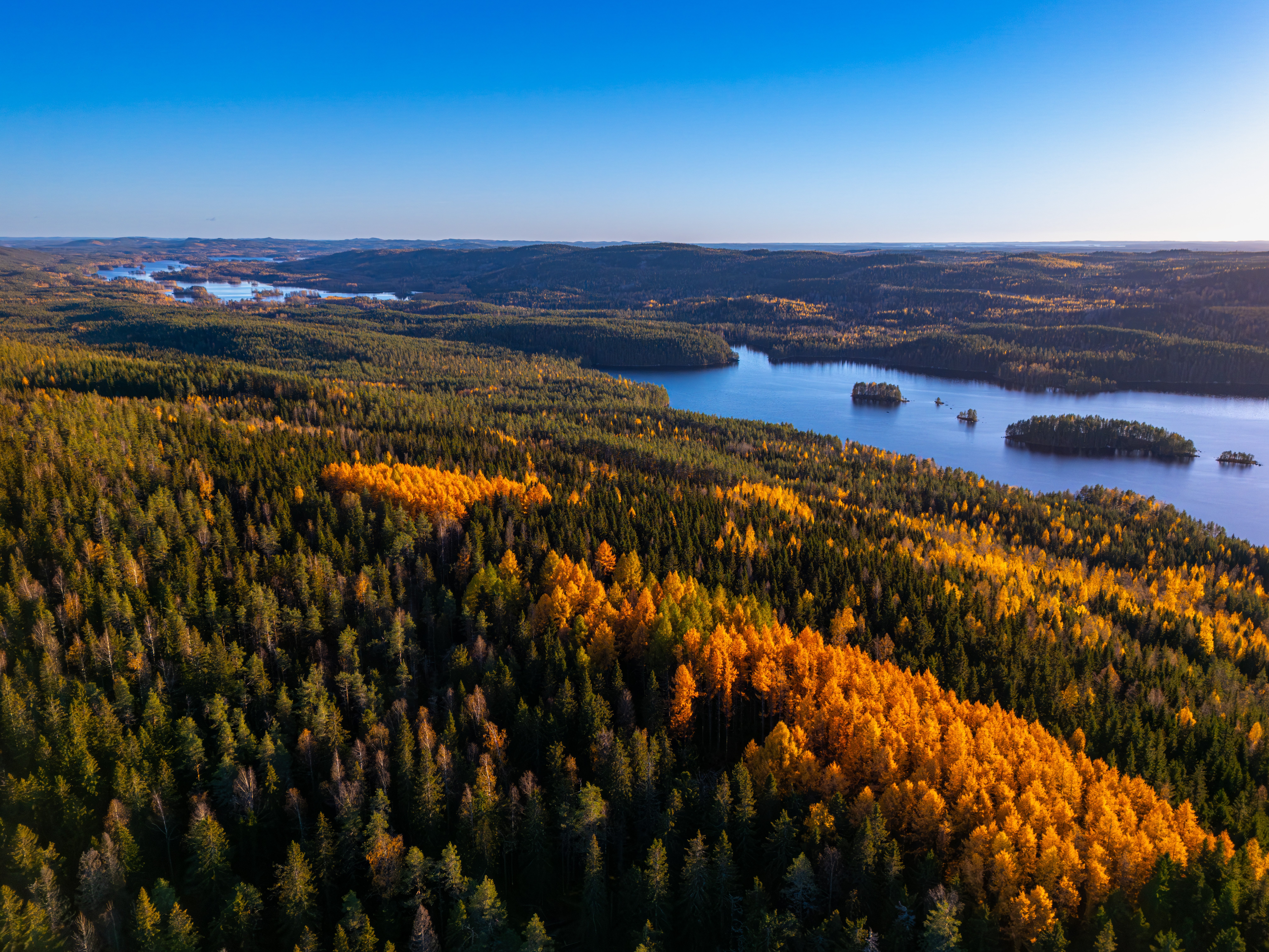 Koli-Ruska-fullres_0086