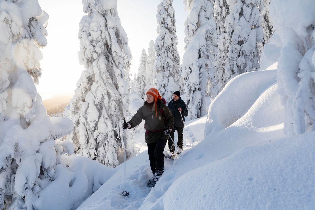 VisitKarelia_Harri Tarvainen_winter_Koli6