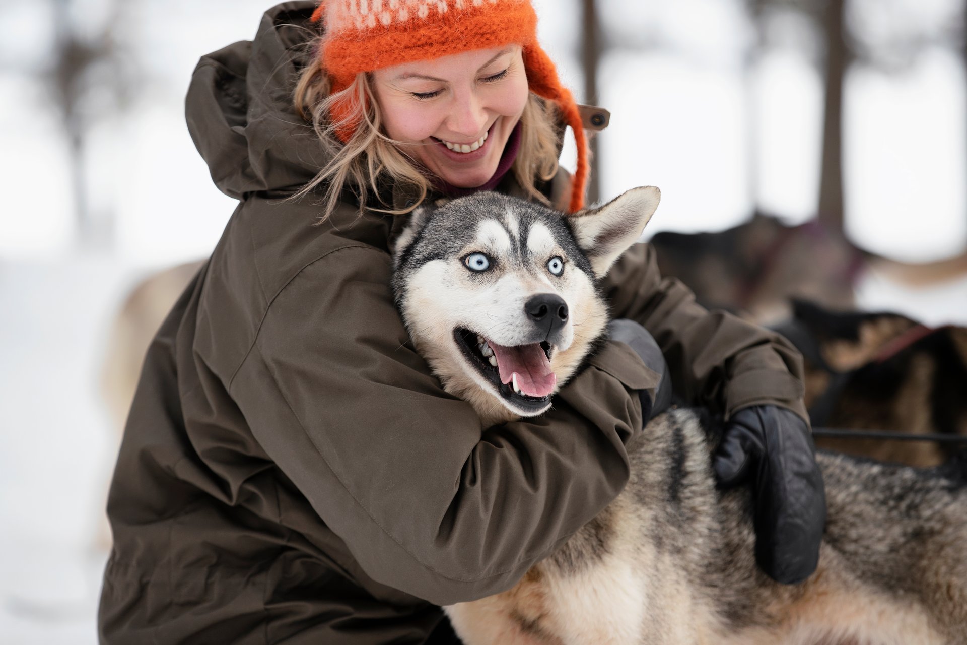 VisitKarelia_Harri Tarvainen_winter_huskies2 (1)