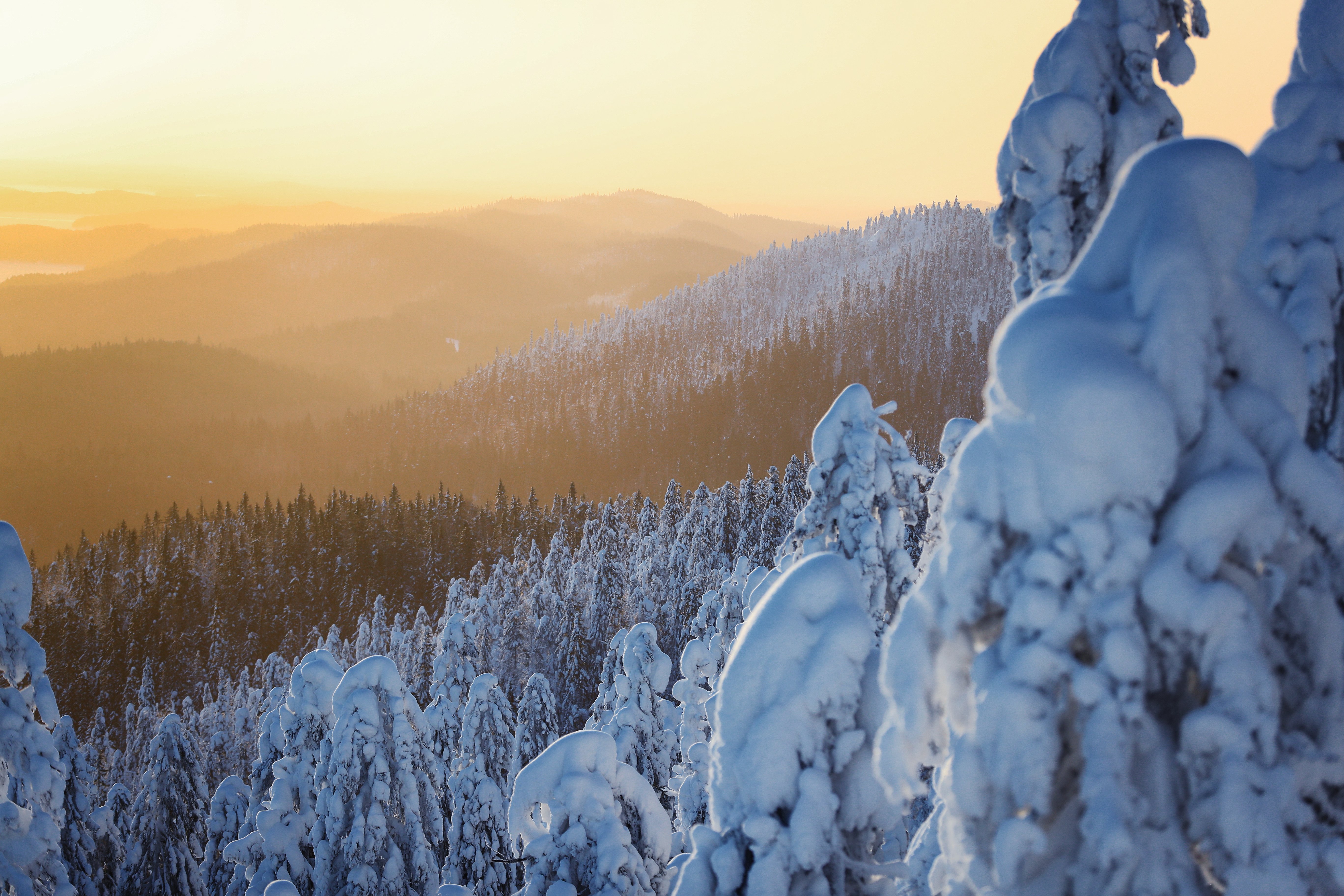 VisitKarelia_Harri Tarvainen_winter_Koli23