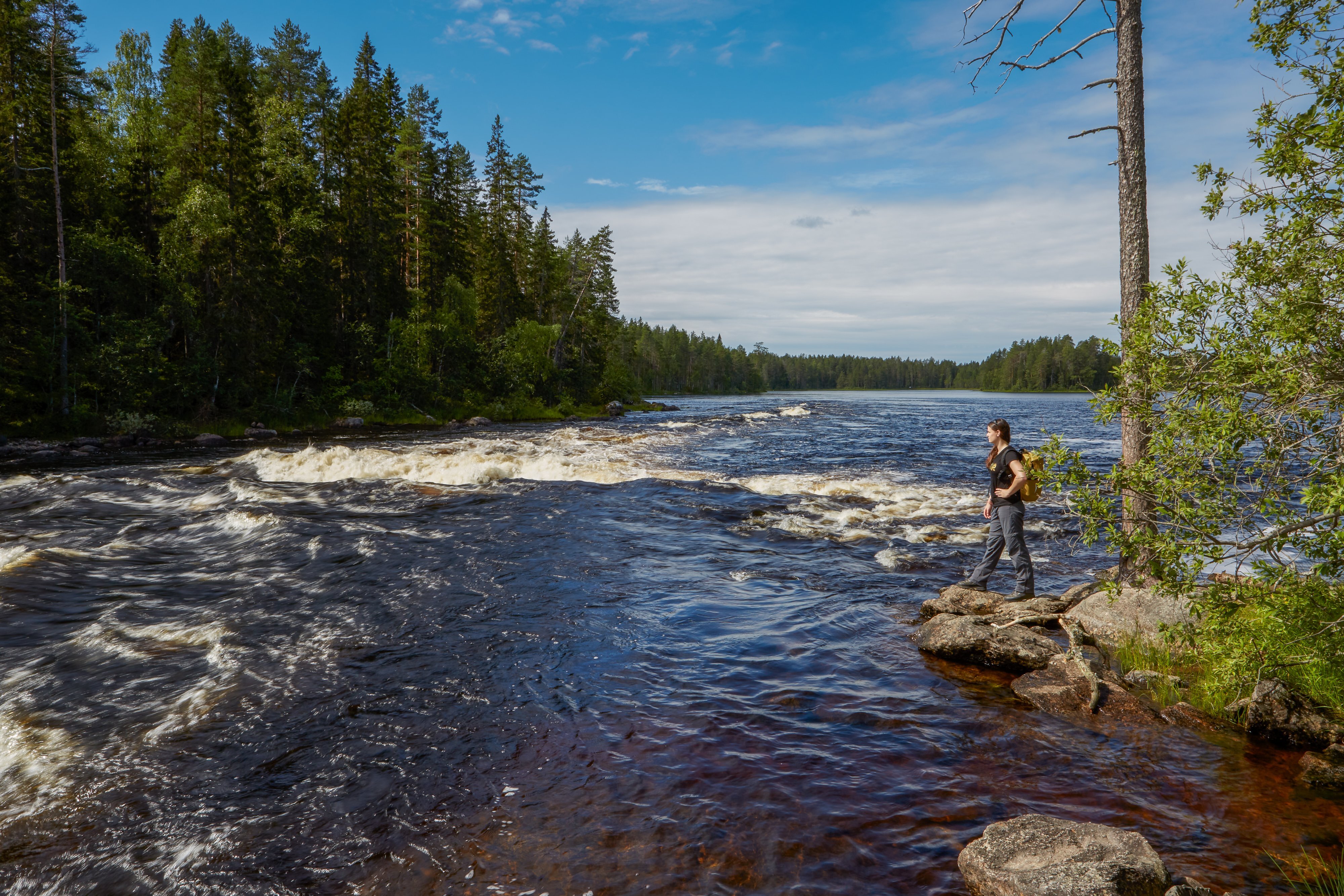 erakeskus-wilderness-lodgeruunaa-np-_-2022_-photo-klaus-herzmann-36