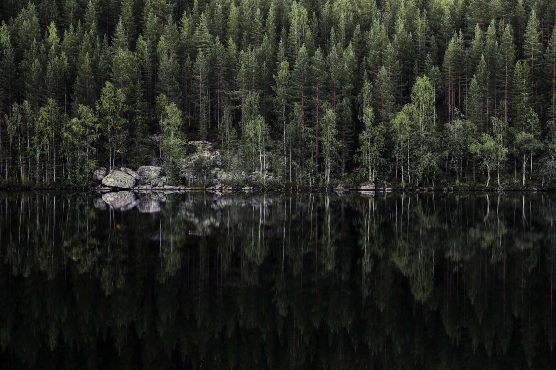 vk-harri-tarvainen-calmlake-jpg